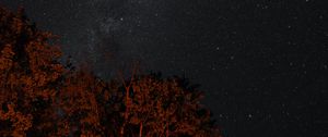 Preview wallpaper stars, sky, night, trees, backlight, dark