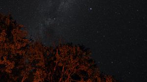 Preview wallpaper stars, sky, night, trees, backlight, dark