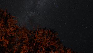 Preview wallpaper stars, sky, night, trees, backlight, dark