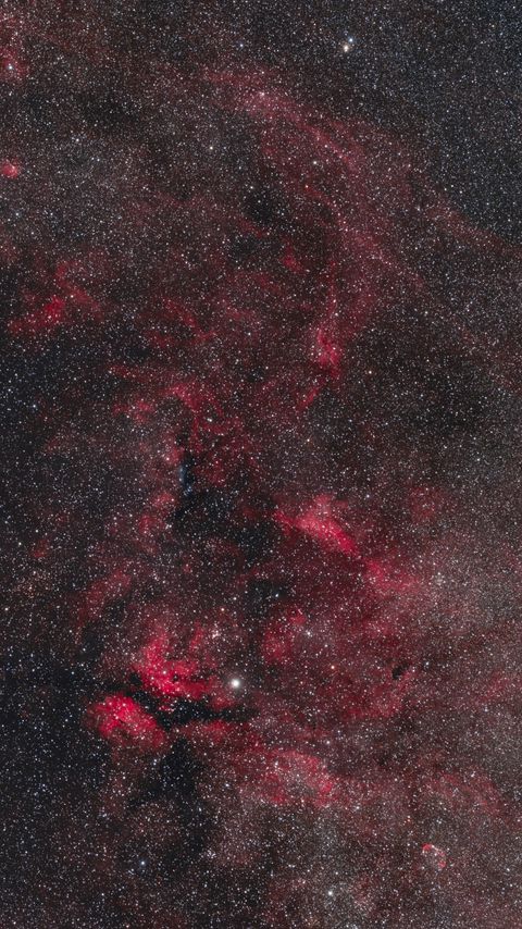 480x854 Wallpaper stars, space, nebula, universe, red, dark