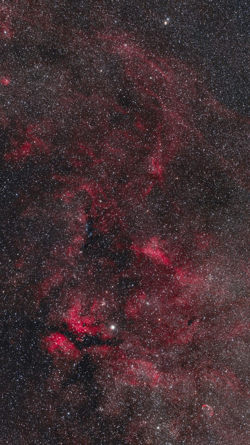 800x1420 Wallpaper stars, space, nebula, universe, red, dark