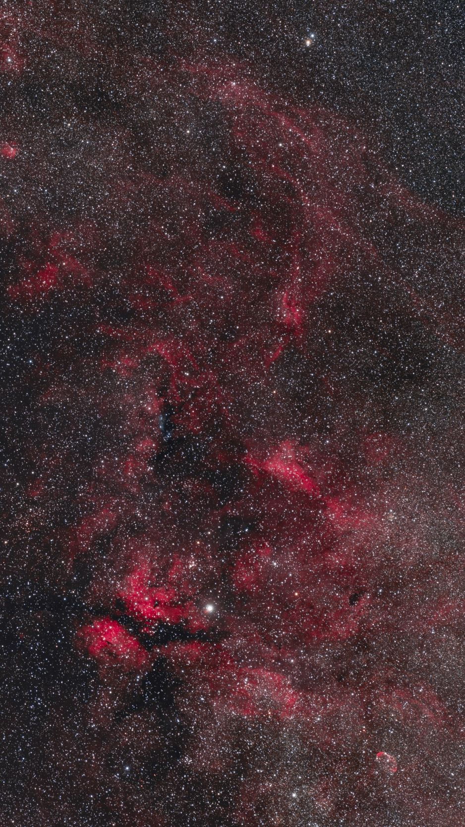 938x1668 Wallpaper stars, space, nebula, universe, red, dark