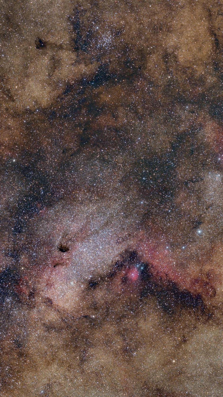 938x1668 Wallpaper stars, sparkles, nebula, space, dark