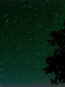 Preview wallpaper stars, starry sky, branch, circle