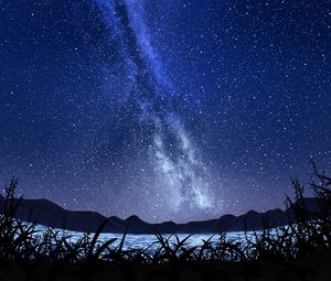 Preview wallpaper stars, starry sky, milky way, art, night, sky, grass