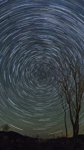 Preview wallpaper stars, starry sky, rotation, long exposure, tree