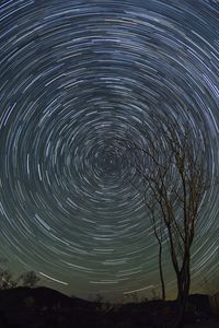 Preview wallpaper stars, starry sky, rotation, long exposure, tree