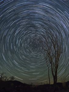Preview wallpaper stars, starry sky, rotation, long exposure, tree