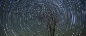 Preview wallpaper stars, starry sky, rotation, long exposure, tree