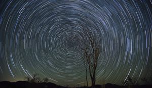 Preview wallpaper stars, starry sky, rotation, long exposure, tree