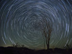 Preview wallpaper stars, starry sky, rotation, long exposure, tree