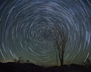 Preview wallpaper stars, starry sky, rotation, long exposure, tree