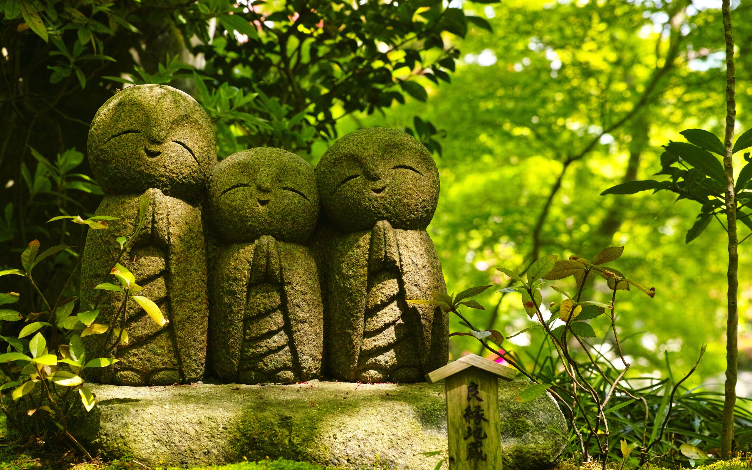 2560x1600 Wallpaper statue, buddhism, monks, tradition, leaves