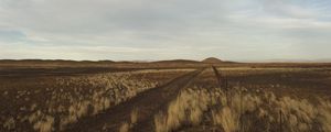 Preview wallpaper steppe, hills, grass, fence