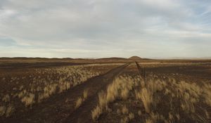 Preview wallpaper steppe, hills, grass, fence