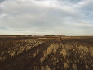 Preview wallpaper steppe, hills, grass, fence