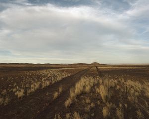 Preview wallpaper steppe, hills, grass, fence