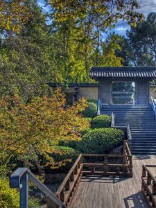 Preview wallpaper steps, arch, trees, china