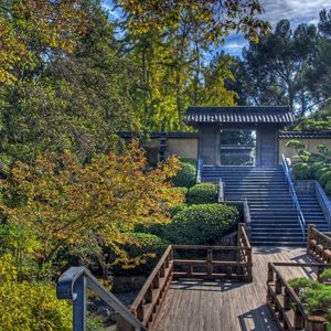 Preview wallpaper steps, arch, trees, china