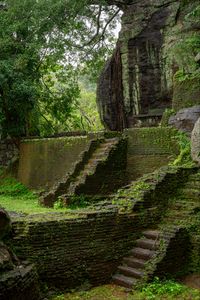 Preview wallpaper steps, building, ruins, leaves