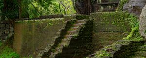 Preview wallpaper steps, building, ruins, leaves