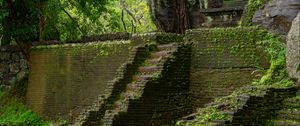 Preview wallpaper steps, building, ruins, leaves