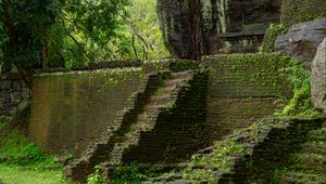 Preview wallpaper steps, building, ruins, leaves