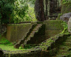 Preview wallpaper steps, building, ruins, leaves