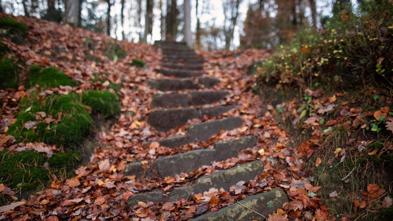 Wallpaper steps, hill, fallen leaves, autumn
