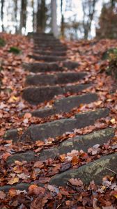 Preview wallpaper steps, hill, fallen leaves, autumn