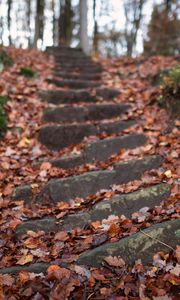 Preview wallpaper steps, hill, fallen leaves, autumn