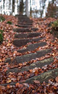 Preview wallpaper steps, hill, fallen leaves, autumn