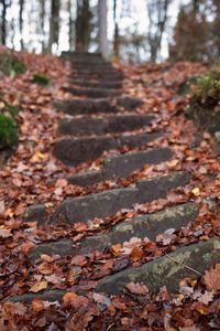 Preview wallpaper steps, hill, fallen leaves, autumn