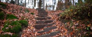 Preview wallpaper steps, hill, fallen leaves, autumn