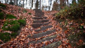 Preview wallpaper steps, hill, fallen leaves, autumn