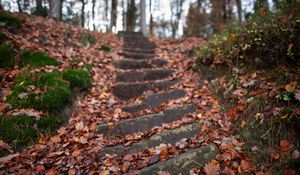 Preview wallpaper steps, hill, fallen leaves, autumn