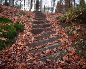 Preview wallpaper steps, hill, fallen leaves, autumn