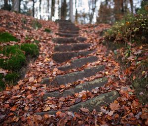 Preview wallpaper steps, hill, fallen leaves, autumn