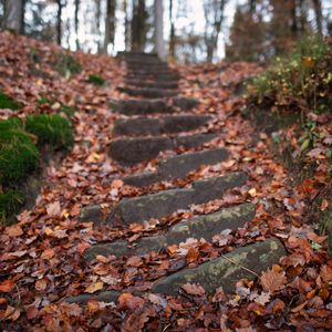 Preview wallpaper steps, hill, fallen leaves, autumn