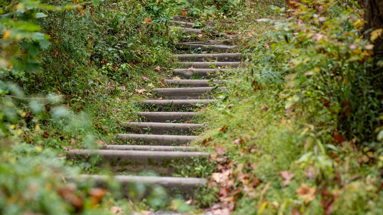 Wallpaper steps, leaves, fallen leaves, autumn, blur