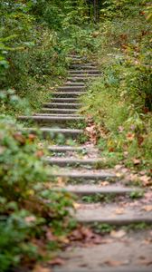 Preview wallpaper steps, leaves, fallen leaves, autumn, blur