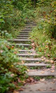 Preview wallpaper steps, leaves, fallen leaves, autumn, blur