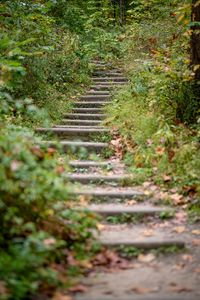 Preview wallpaper steps, leaves, fallen leaves, autumn, blur