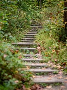 Preview wallpaper steps, leaves, fallen leaves, autumn, blur