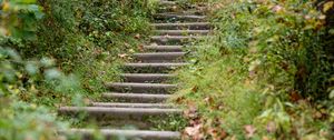 Preview wallpaper steps, leaves, fallen leaves, autumn, blur