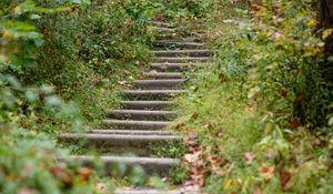 Preview wallpaper steps, leaves, fallen leaves, autumn, blur