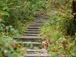 Preview wallpaper steps, leaves, fallen leaves, autumn, blur