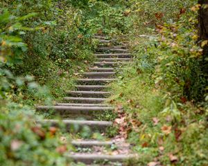 Preview wallpaper steps, leaves, fallen leaves, autumn, blur