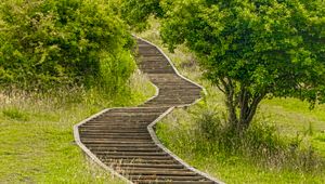 Preview wallpaper steps, wooden, grass, tree