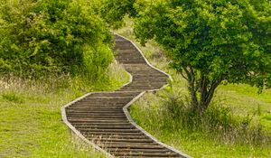 Preview wallpaper steps, wooden, grass, tree